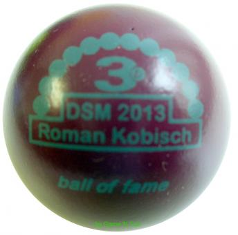 DSM 2013 R. Kobisch KL 